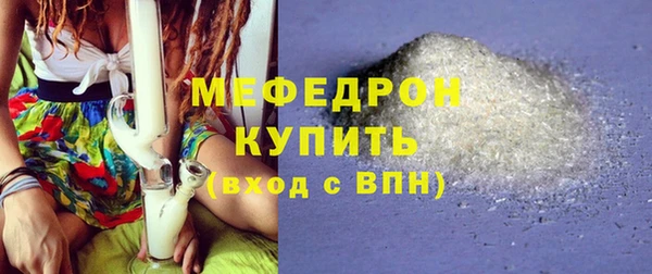 индика Дмитровск