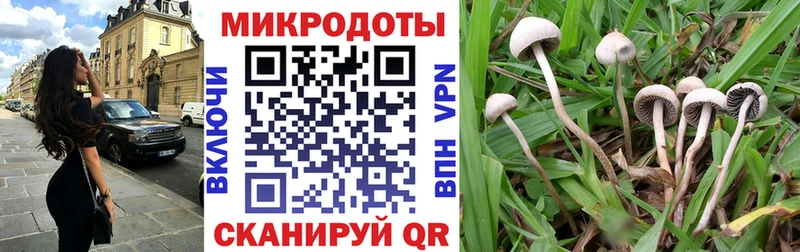 магазин    Духовщина  Псилоцибиновые грибы мухоморы 